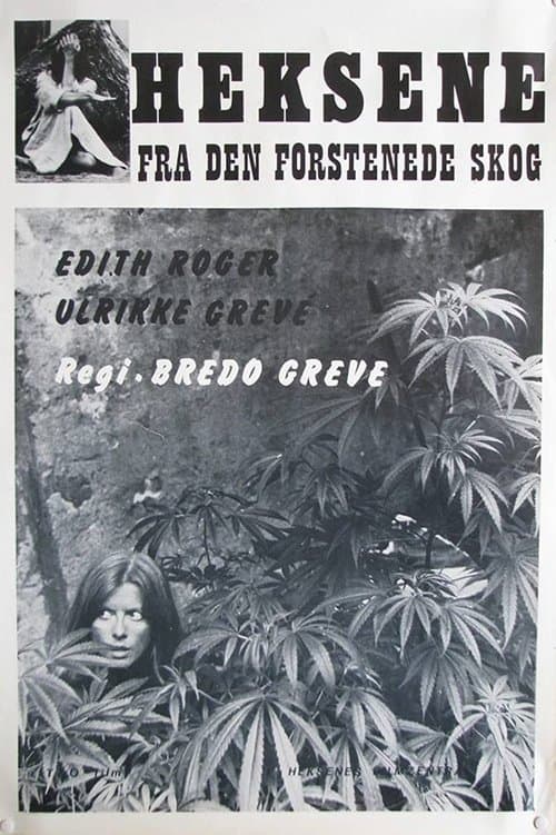 Heksene fra den forstenede skog poster