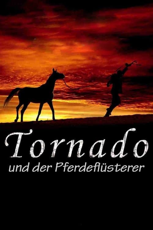 Tornado und der Pferdeflüsterer poster