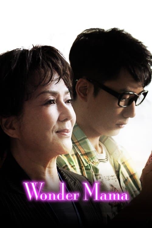 媽咪俠 poster