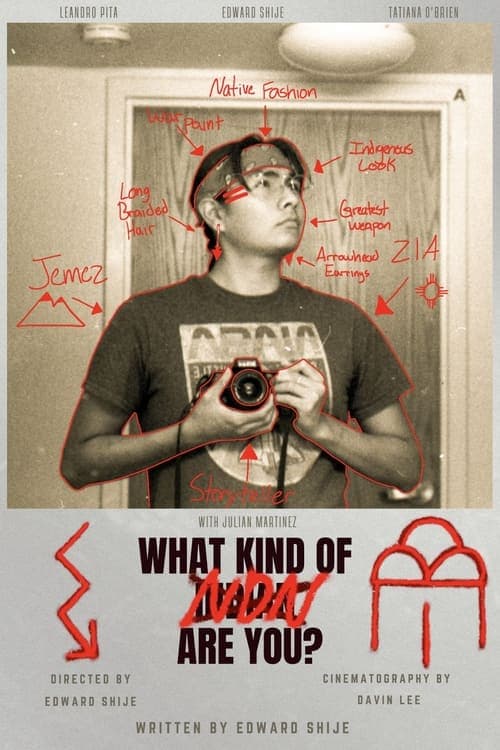What Kind of NDN Are You? poster