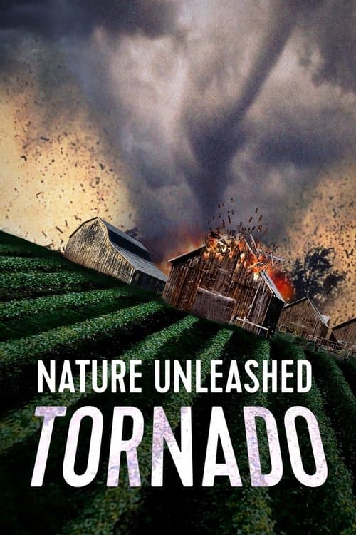 Tornado - Tödlicher Sog poster