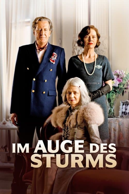 Im Auge des Sturms poster