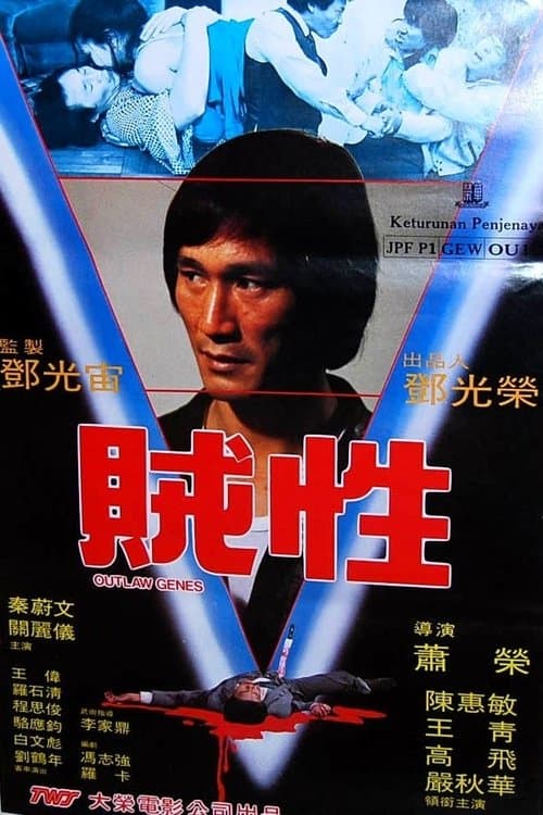 賊性 poster