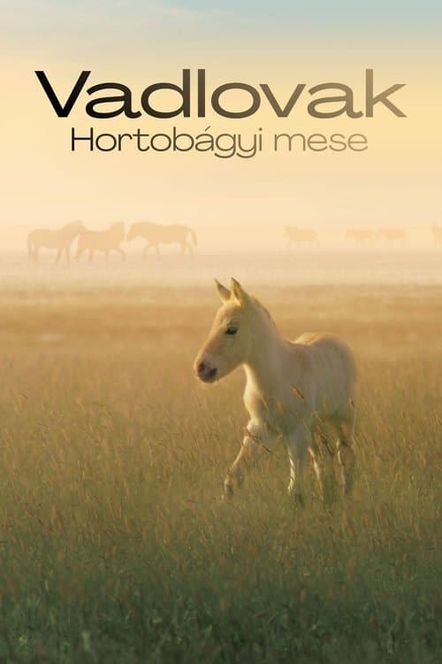 Vadlovak - Hortobágyi mese poster