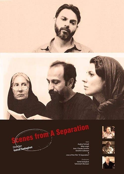 صحنه هایی از یک جدایی poster