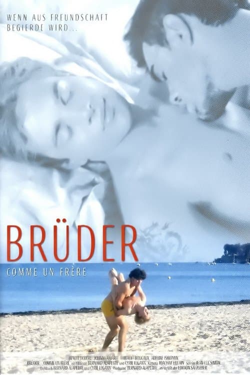 Brüder poster