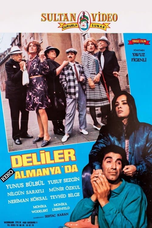 Deliler Almanya'da poster