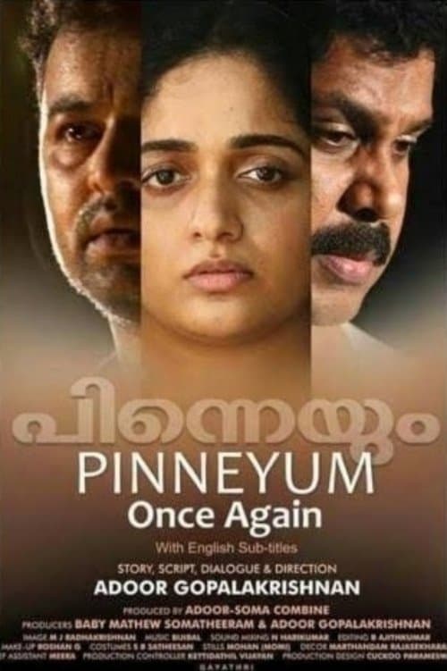 പിന്നെയും poster