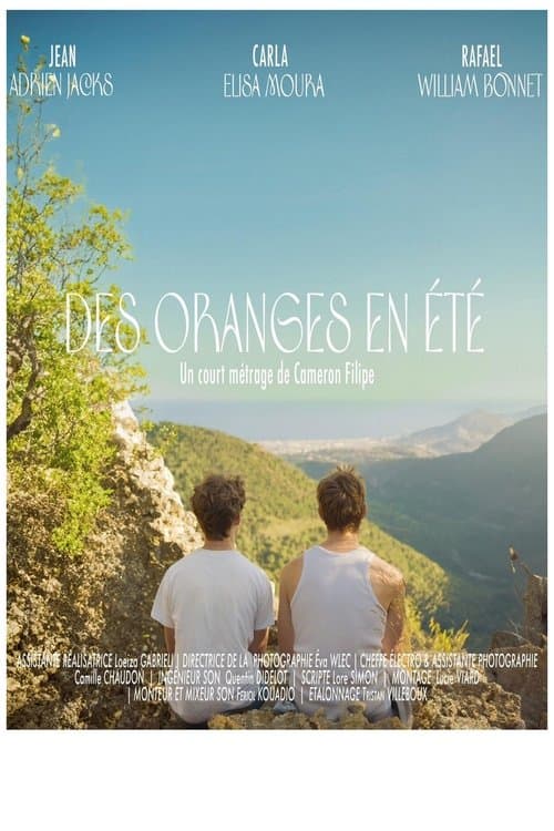 Des oranges en été poster