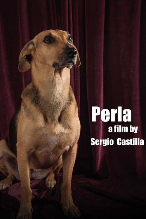 Perla: La Película poster