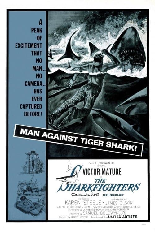Haie greifen an poster