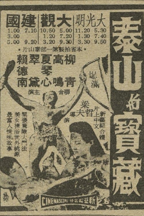 泰山寶藏 poster