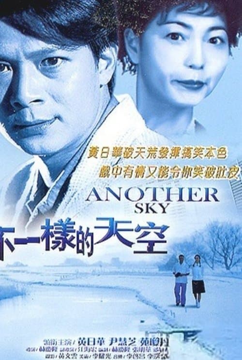 不一樣的天空 poster