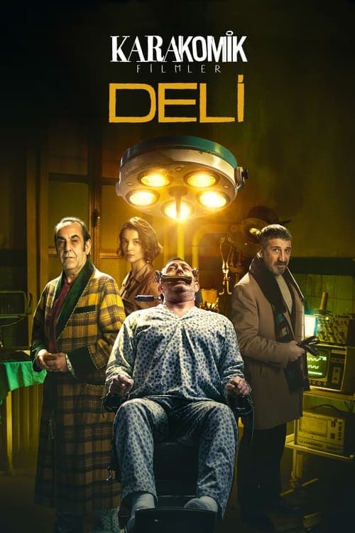 Karakomik Filmler 2: Deli poster