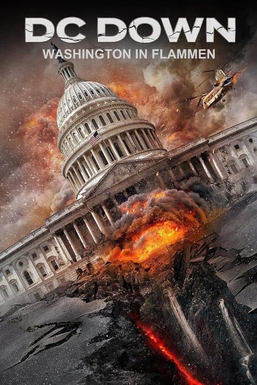DC Down - Washington in Flammen poster