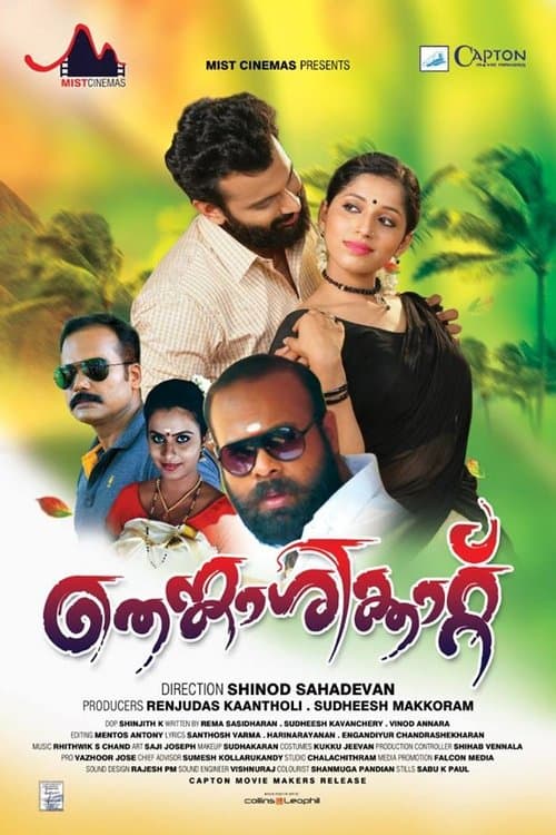 തെങ്കാശിക്കാറ്റ് poster