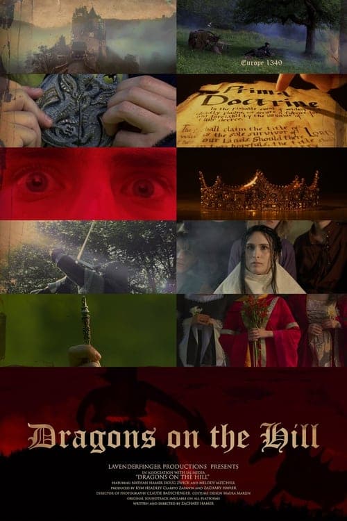 Dragons on the Hill poster