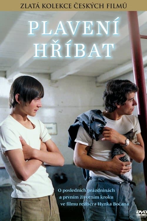 Plavení hříbat poster