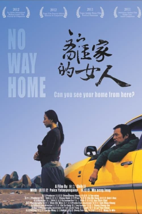 離家的女人 poster