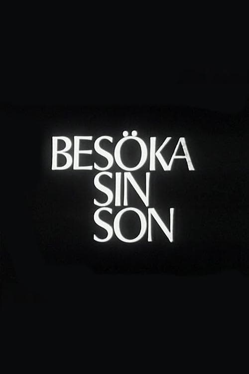 Besöka sin son poster