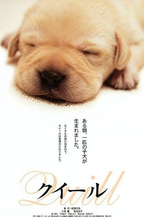 Quill - Ein Freund für´s Leben poster