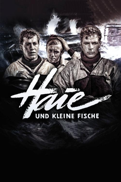 Haie und kleine Fische poster