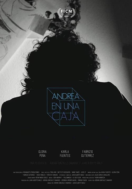 Andrea en una caja poster