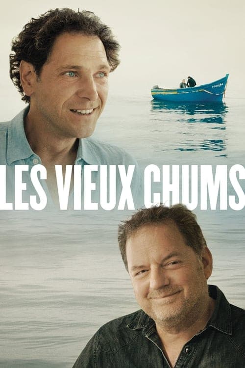 Les vieux chums poster