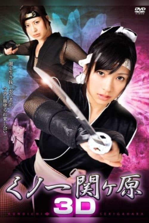 くノ一関ヶ原 3D poster
