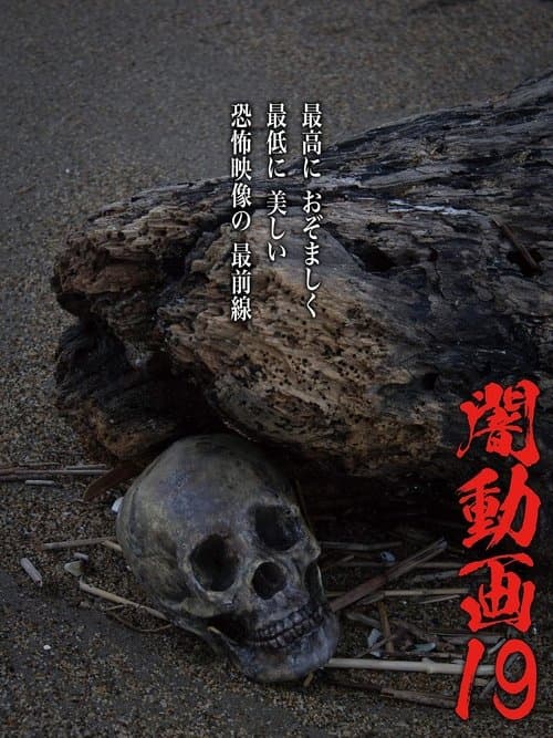 闇動画19 poster