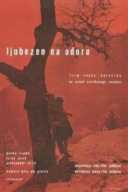 Ljubezen na odoru poster