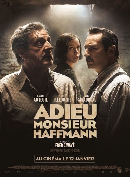 Adieu Monsieur Haffmann poster