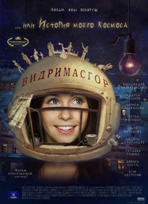 Видримасгор, или История моего космоса poster
