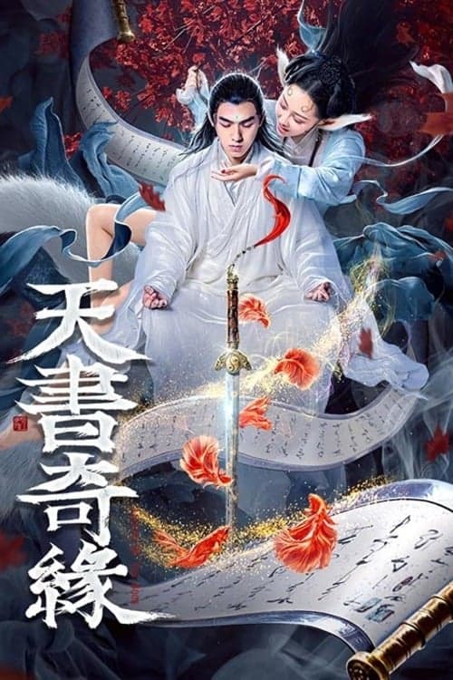天书奇缘 poster
