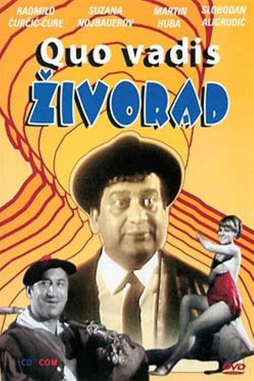 Quo vadis Živorade?! poster