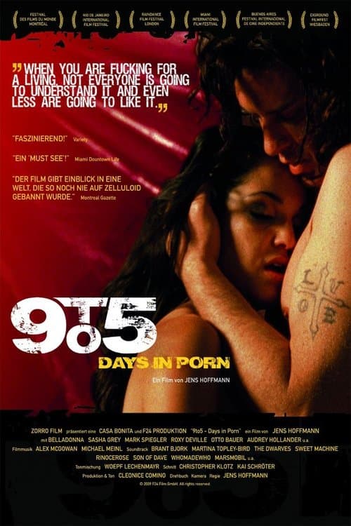 9 to 5 - Days in Porn poster