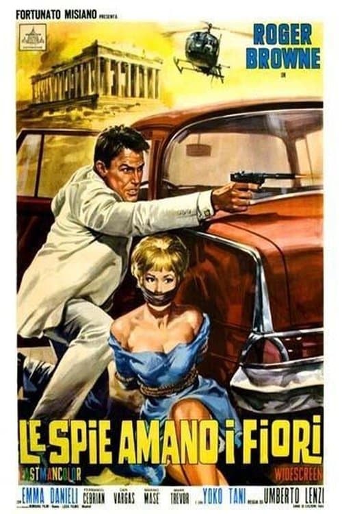 Die Höllenkatze des Kong-Fu poster