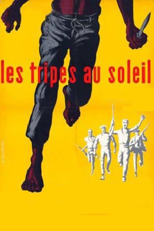 Les tripes au soleil poster