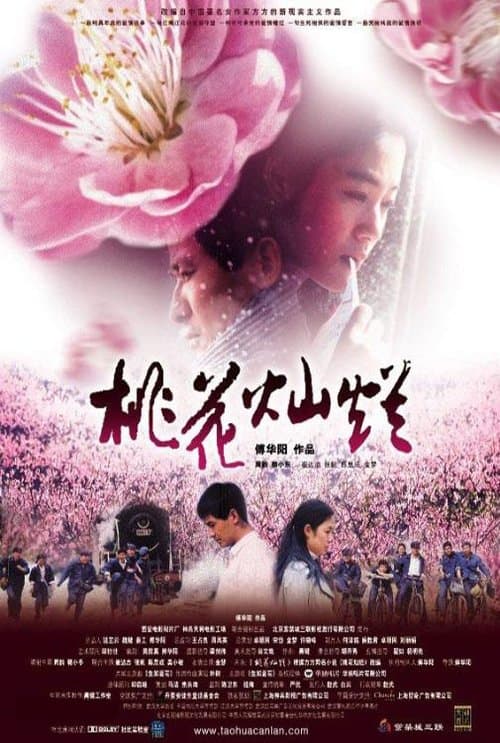 桃花灿烂 poster