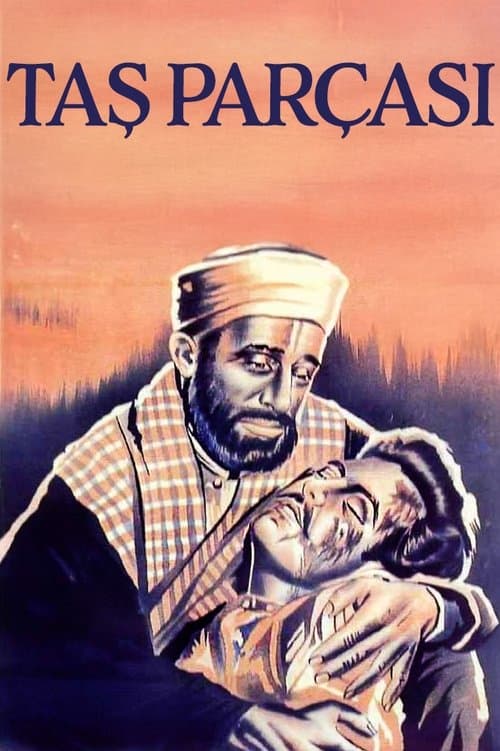 Taş Parçası poster