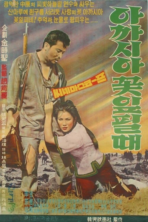 아카시아 꽃잎필때 poster