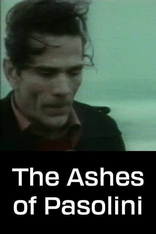 Le ceneri di Pasolini poster