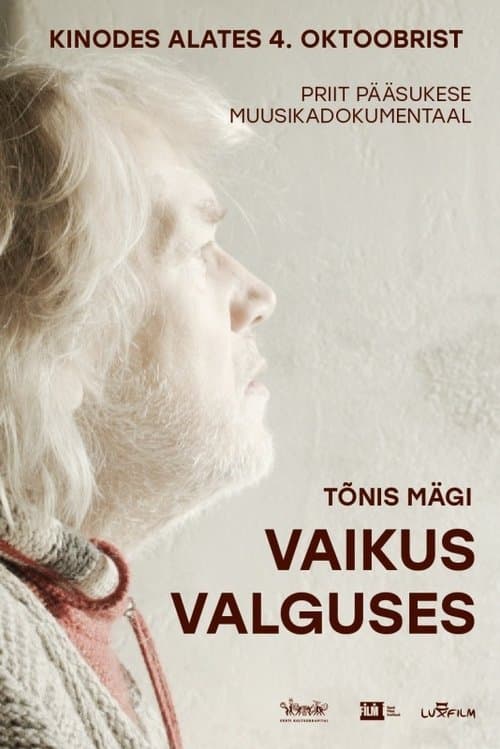 Tõnis Mägi. Vaikus valguses poster