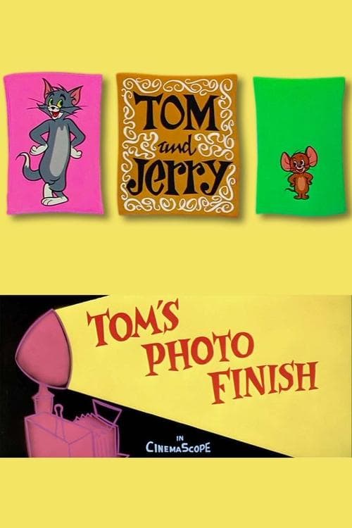 Tom wird geblitzt poster