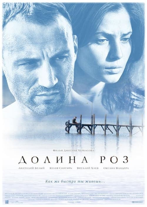 Долина роз poster