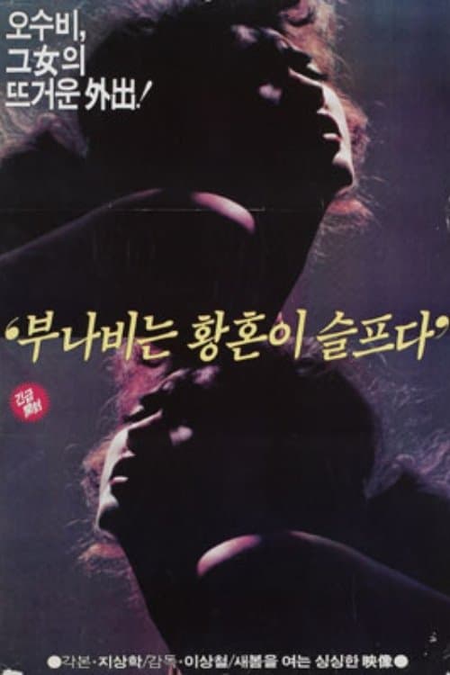 부나비는 황혼이 슬프다 poster