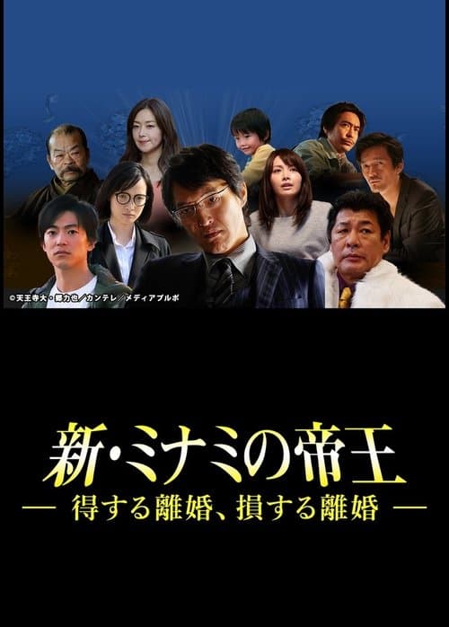 新・ミナミの帝王～得する離婚、損する離婚～ poster