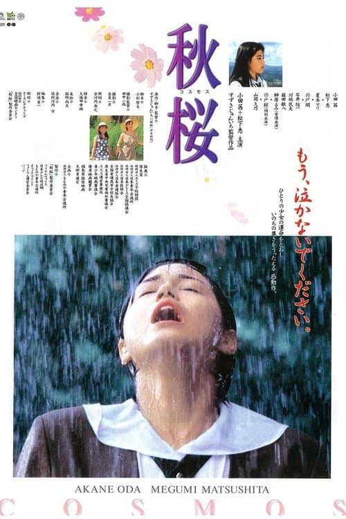 秋桜　コスモス poster