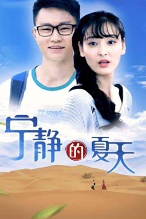 宁静的夏天 poster
