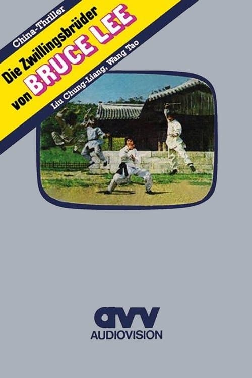 Die Zwillingsbrüder von Bruce Lee poster